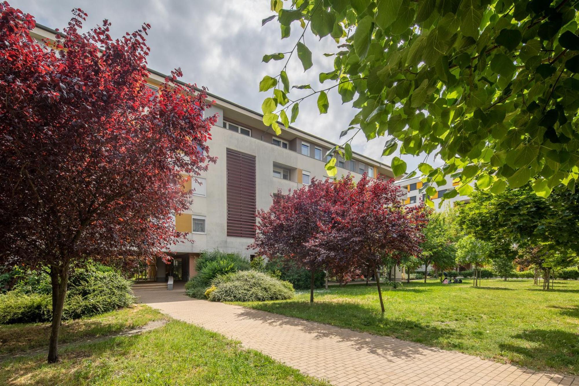 Cozy At Residential Area - Free Street Parking Apartment